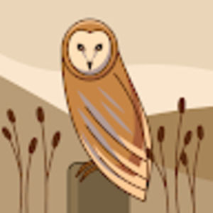 Meet your Posher, Ivette